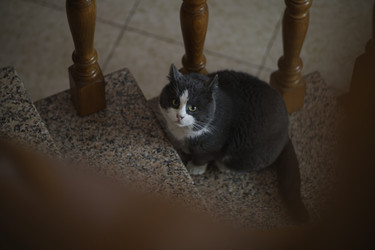 Similar image 22734022