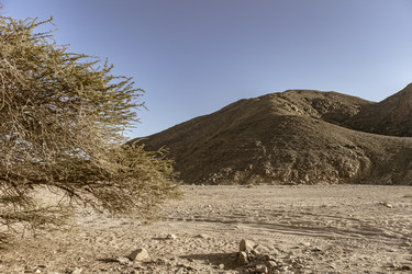 Similar image 22734099