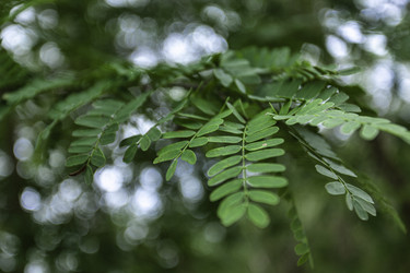 Similar image 22719164