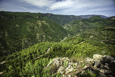 Similar image 22729069