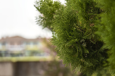 Similar image 22729145