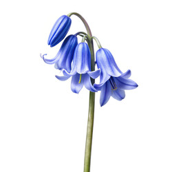 Similar image 22673791