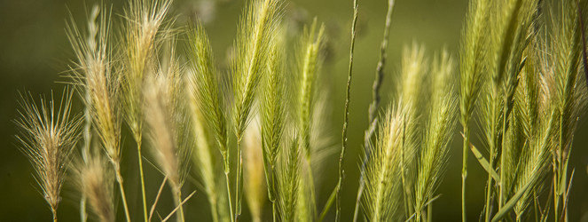 Similar image 22719165