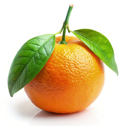 Similar image 22673058
