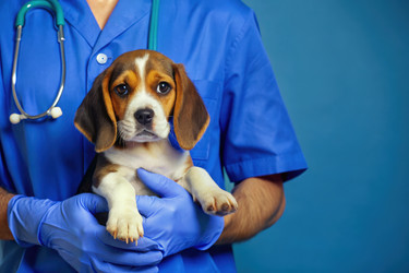 Similar image 22674379