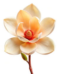 Similar image 22673999