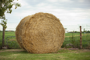 Similar image 22734129