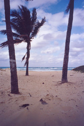 Similar image 22738954