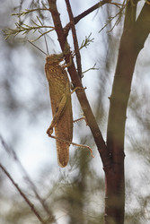 Similar image 22693271