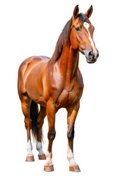 Similar image 22672825