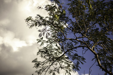 Similar image 22719421