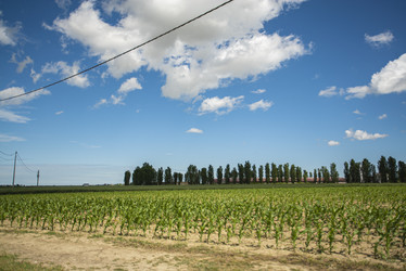 Similar image 22725781