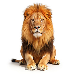 Similar image 22673139