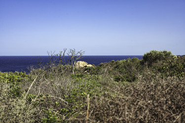 Similar image 22729205