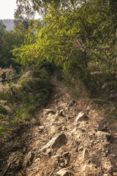 Similar image 22734069