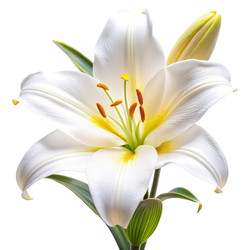 Similar image 22674325