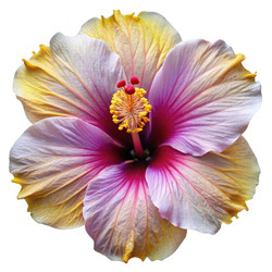 Similar image 22674610