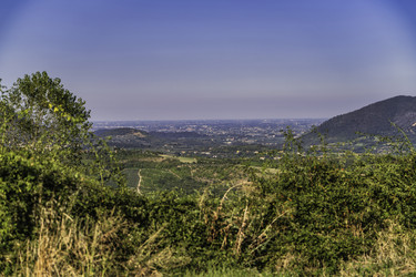 Similar image 22738955