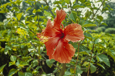 Similar image 22693256