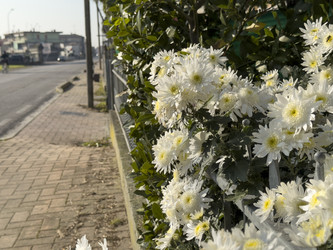 Similar image 22719303