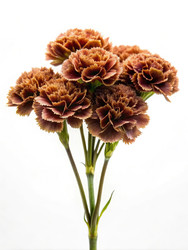 Similar image 22673093