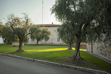 Similar image 22733846