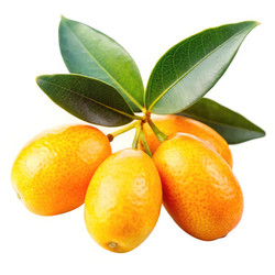 Similar image 22674268