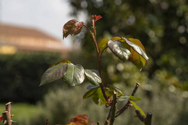 Similar image 22734593
