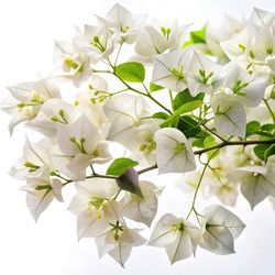 Similar image 22671041