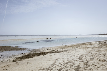 Similar image 22736852