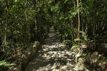 Similar image 22736882