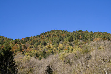 Similar image 22693502