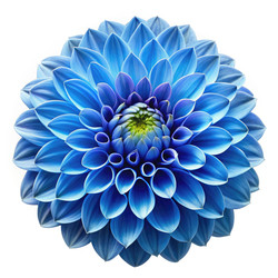 Similar image 22674249