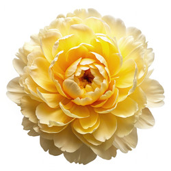 Similar image 22665905