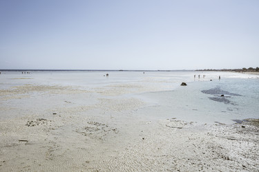 Similar image 22693476