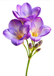 Similar image 22666562