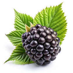 Similar image 22666579