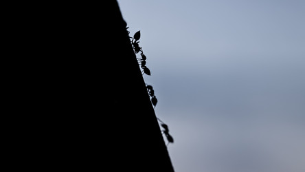 Similar image 22693729