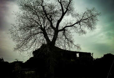 Similar image 22693745