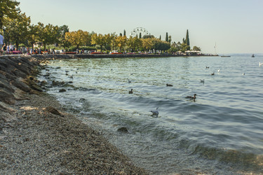 Similar image 22693746