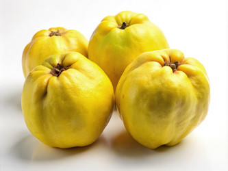 Similar image 22666594