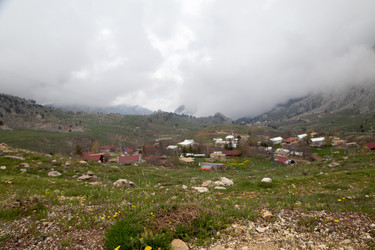 Similar image 22663982