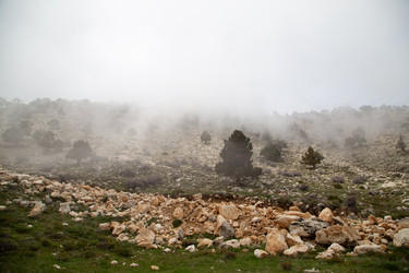 Similar image 22663984
