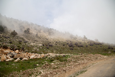 Similar image 22663986