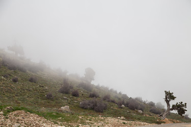 Similar image 22663987