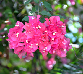 Similar image 22663954