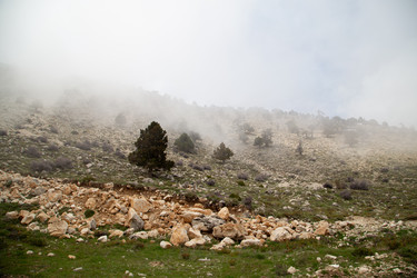 Similar image 22663996