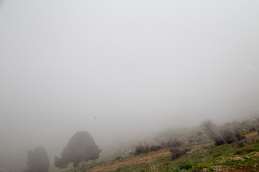 Similar image 22663998
