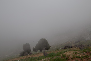 Similar image 22664002