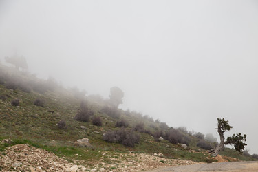 Similar image 22664003